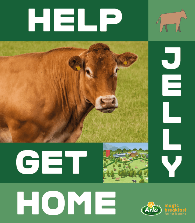 Help get Jelly home