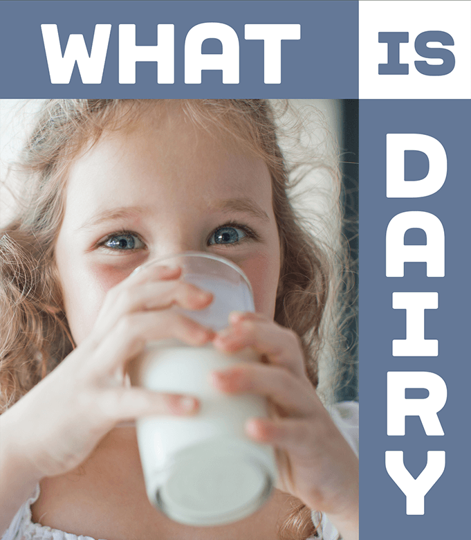What is dairy?